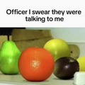 Officer I swear they were talking to me meme