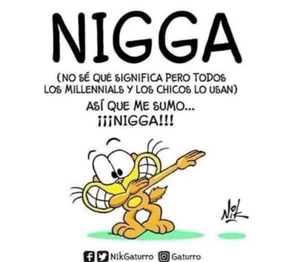 Gaturro se suma al nigga - meme