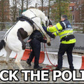 Fuck the police!!!