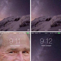 Bush loquillo