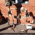 Proposal Skeleton