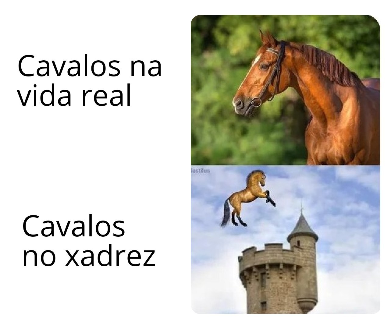 Damas é melhor do que xadrez - meme