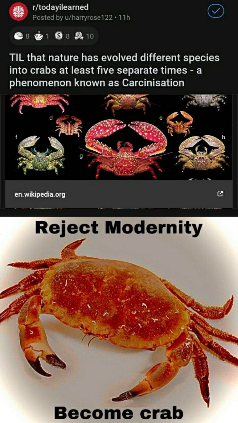 Time for crab - meme