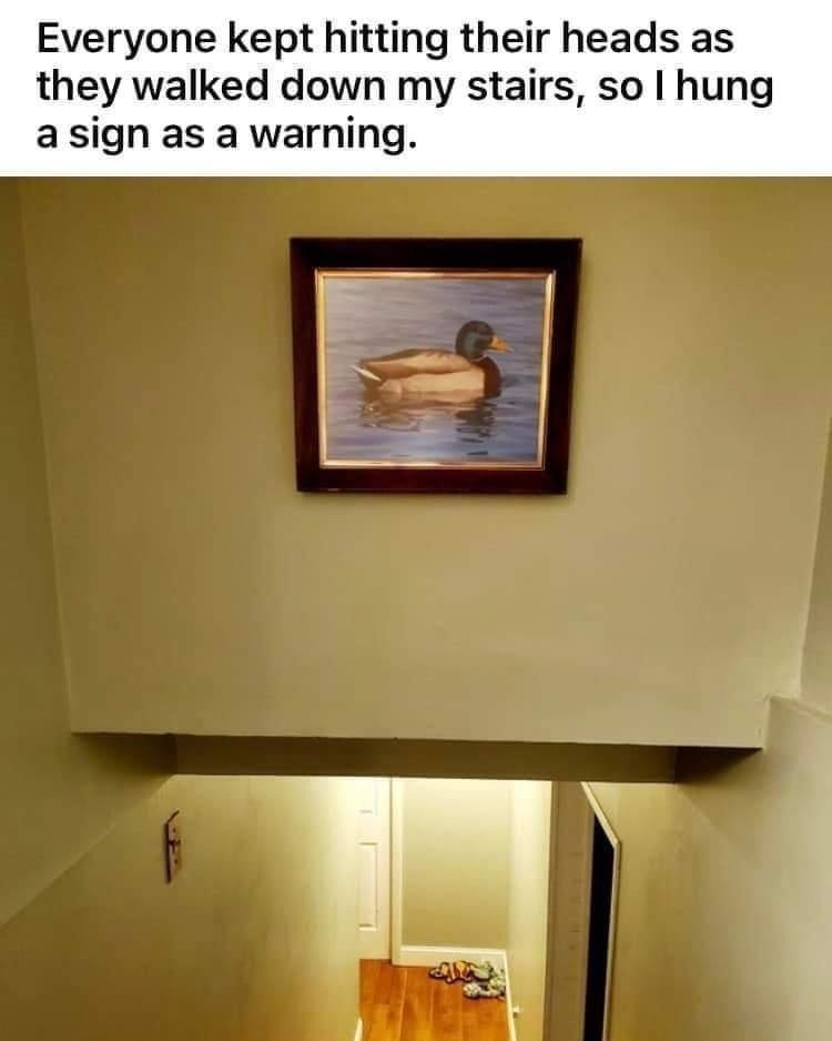 Installed a sign to stop people from headbutting my stairs - meme