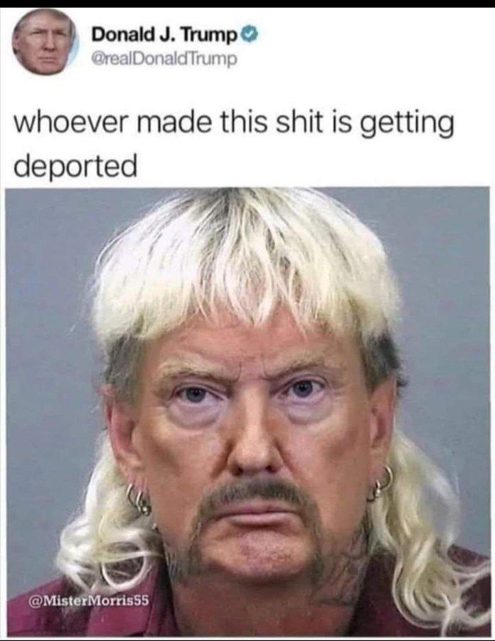 Trump Exotic 2028 - meme