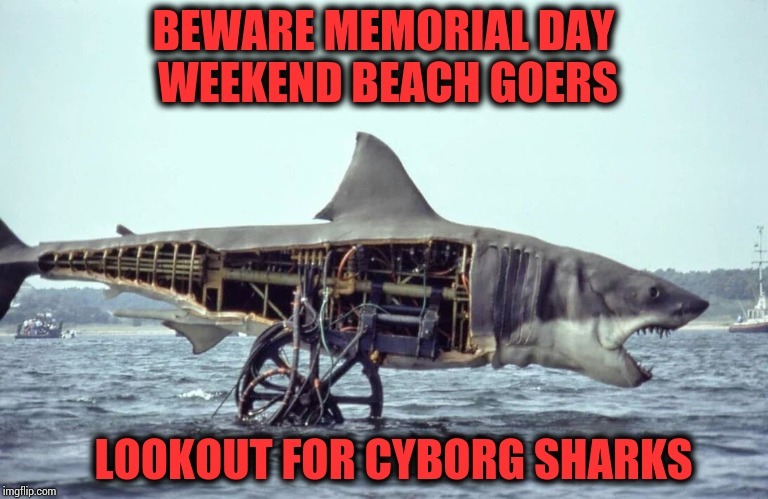 Beachgoers beware: cyborg sharks spotted this Memorial Day - meme