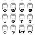 the beards