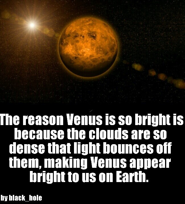 Venus - meme