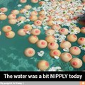nipple ball
