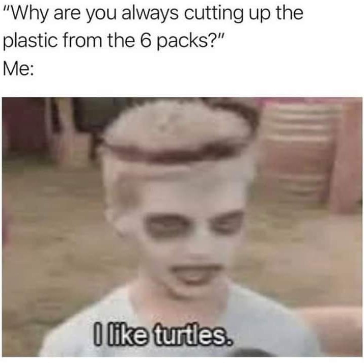 Turtle enough for the turtle club - meme