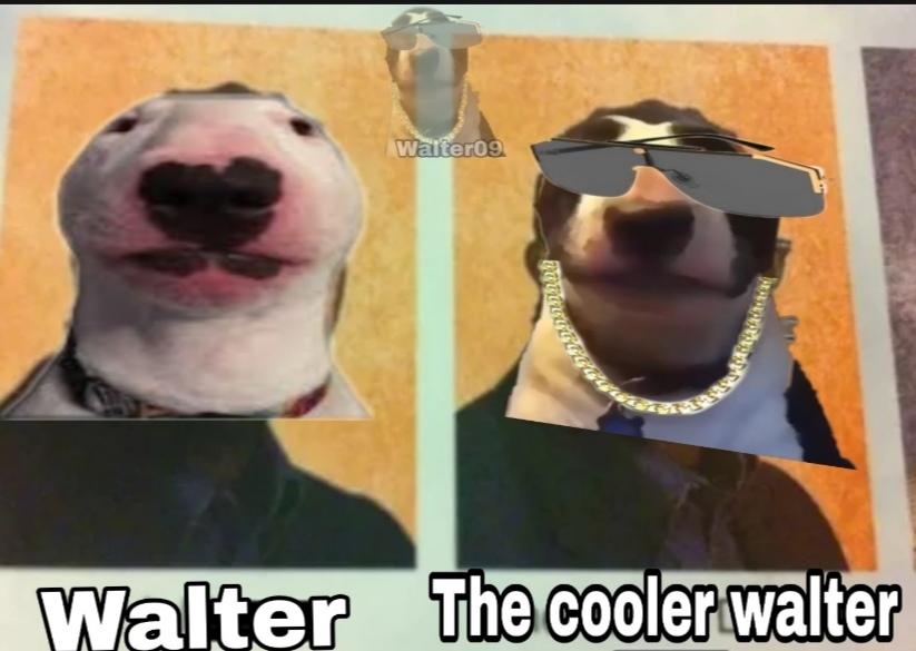 Walter vs the cooler walter - meme