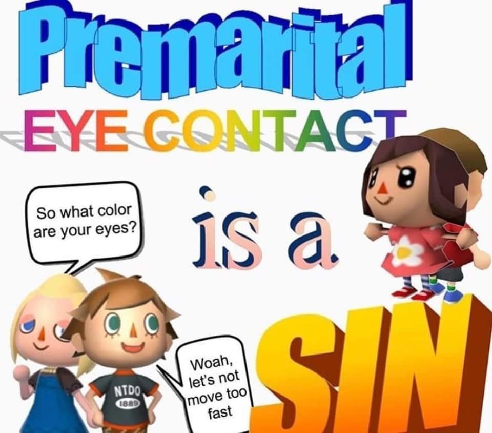 dongs in a sin - meme