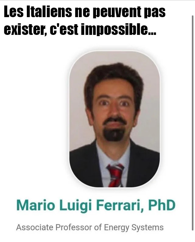 it's me, mario luigi ferrari, PhD ! - meme