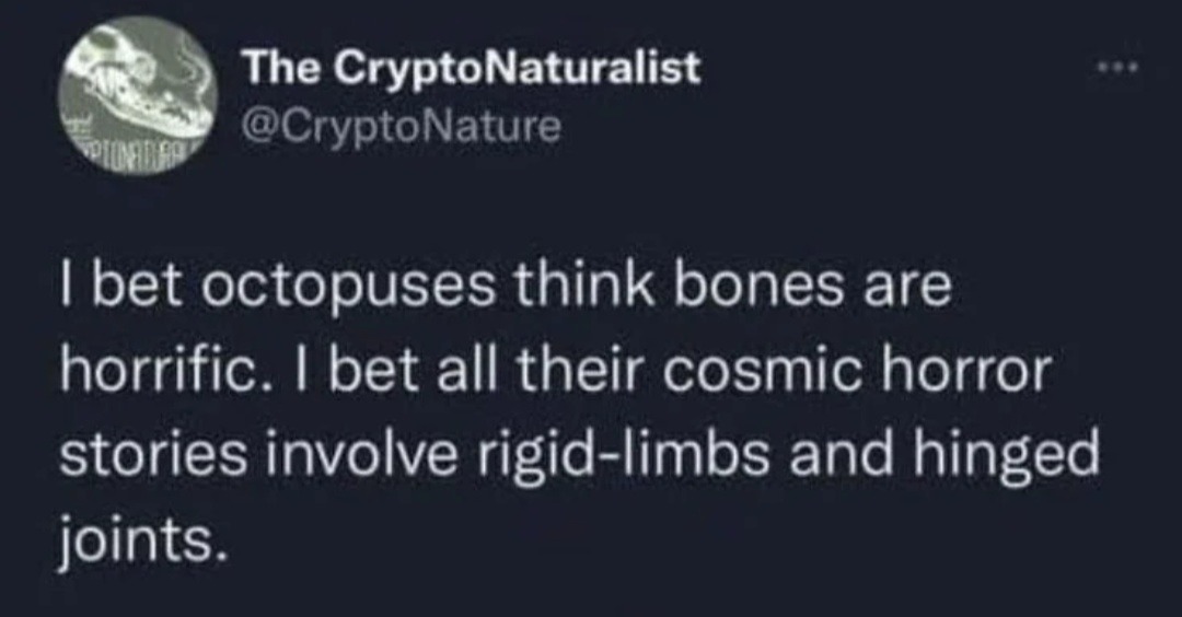 bone horror - meme