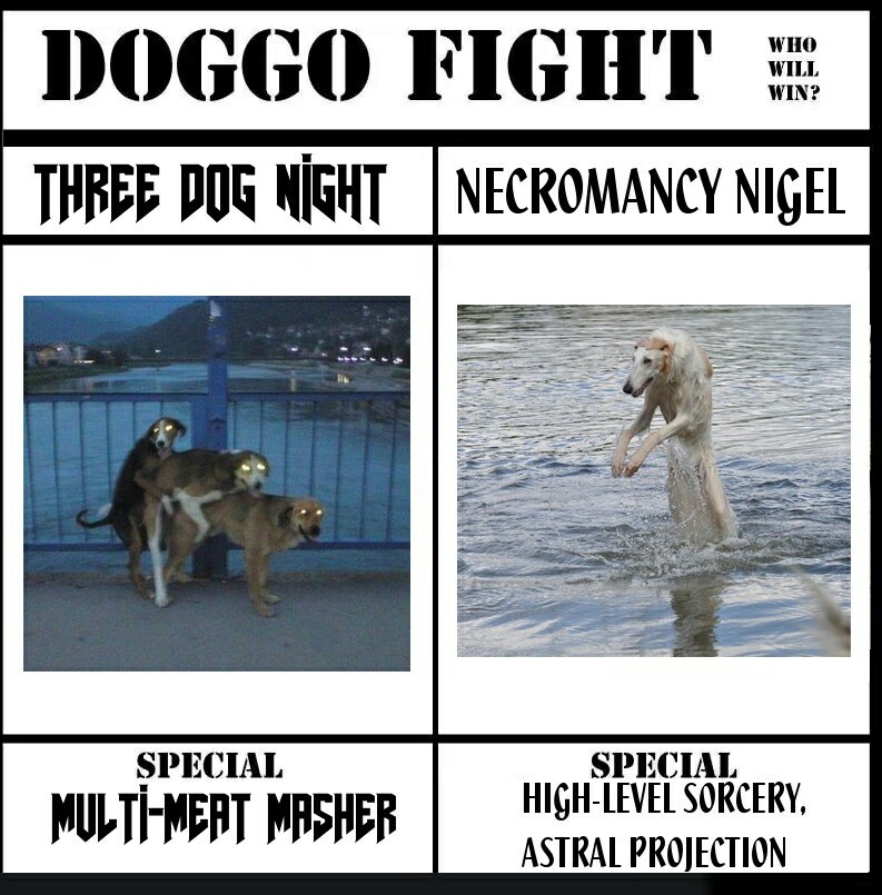 Doggo fight - meme