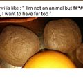 kiwi is a bad as fruit