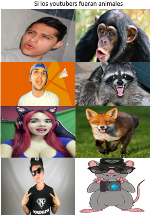 si los youtubers fueran animales - meme