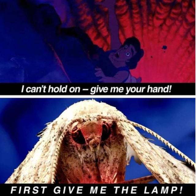 Moth and Aladdin - meme