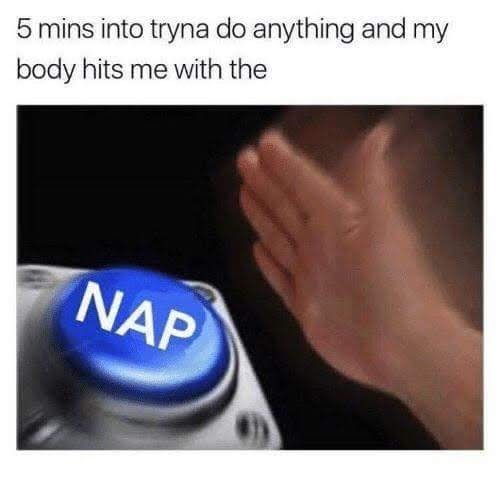 Must nap - meme