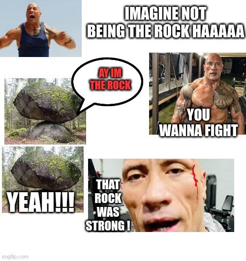 the rock fights a rock - meme