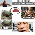 the rock fights a rock