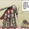 Olympic Mosquito