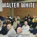 Walter white