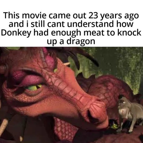 Donkey and Dragon - meme
