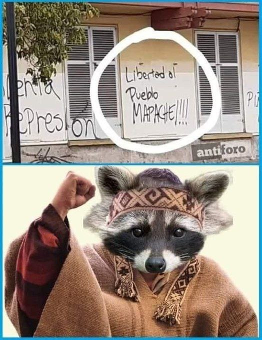 Libertad al pueblo mapache - meme