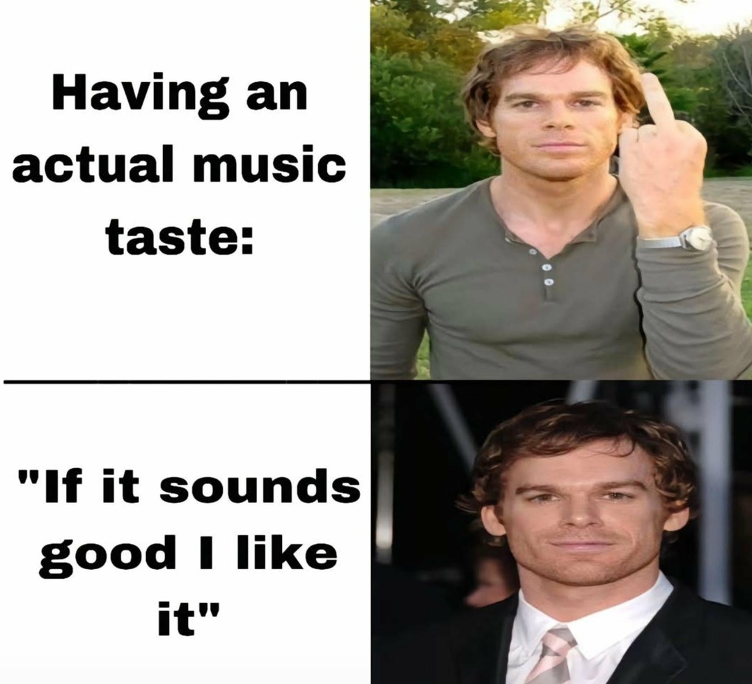 Having actual music taste: 'If it sounds good, I like it.' - meme