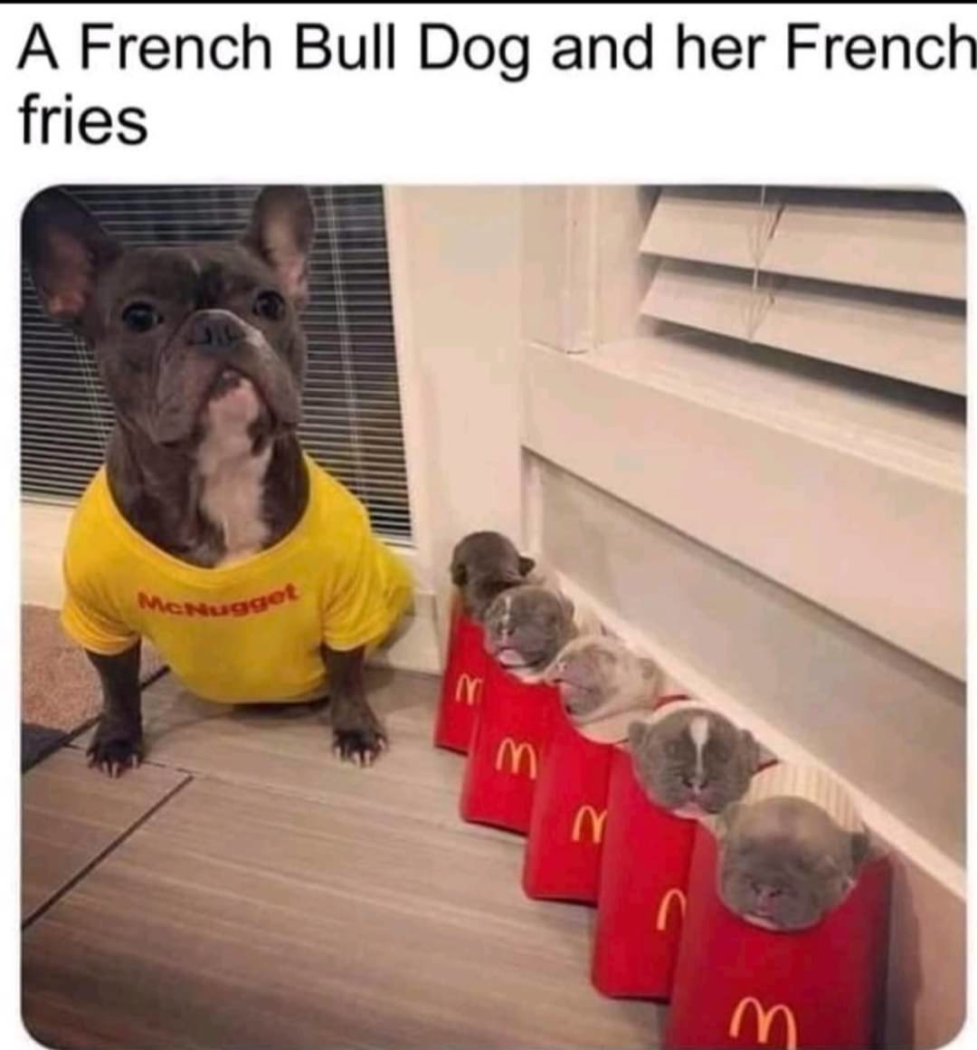 French fried cuties - meme