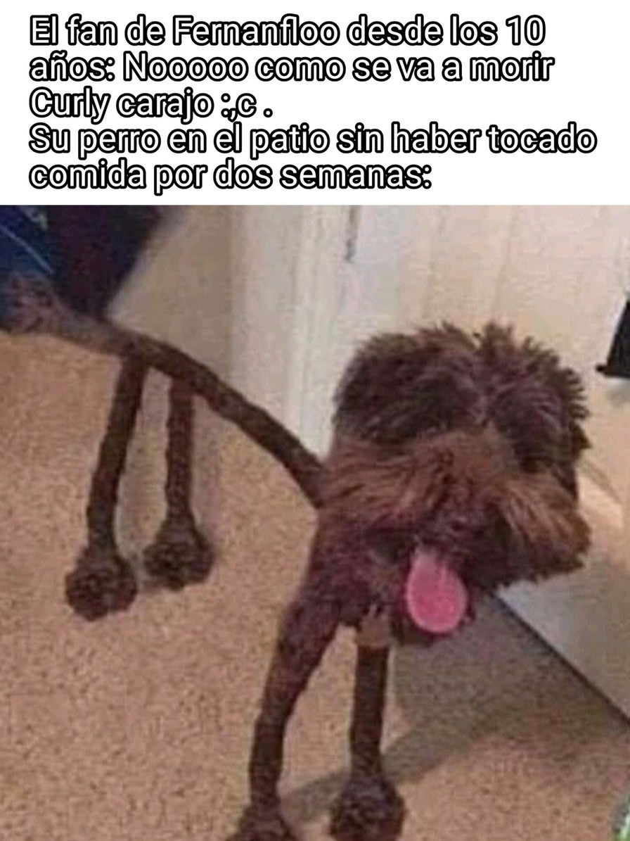Malardo - meme