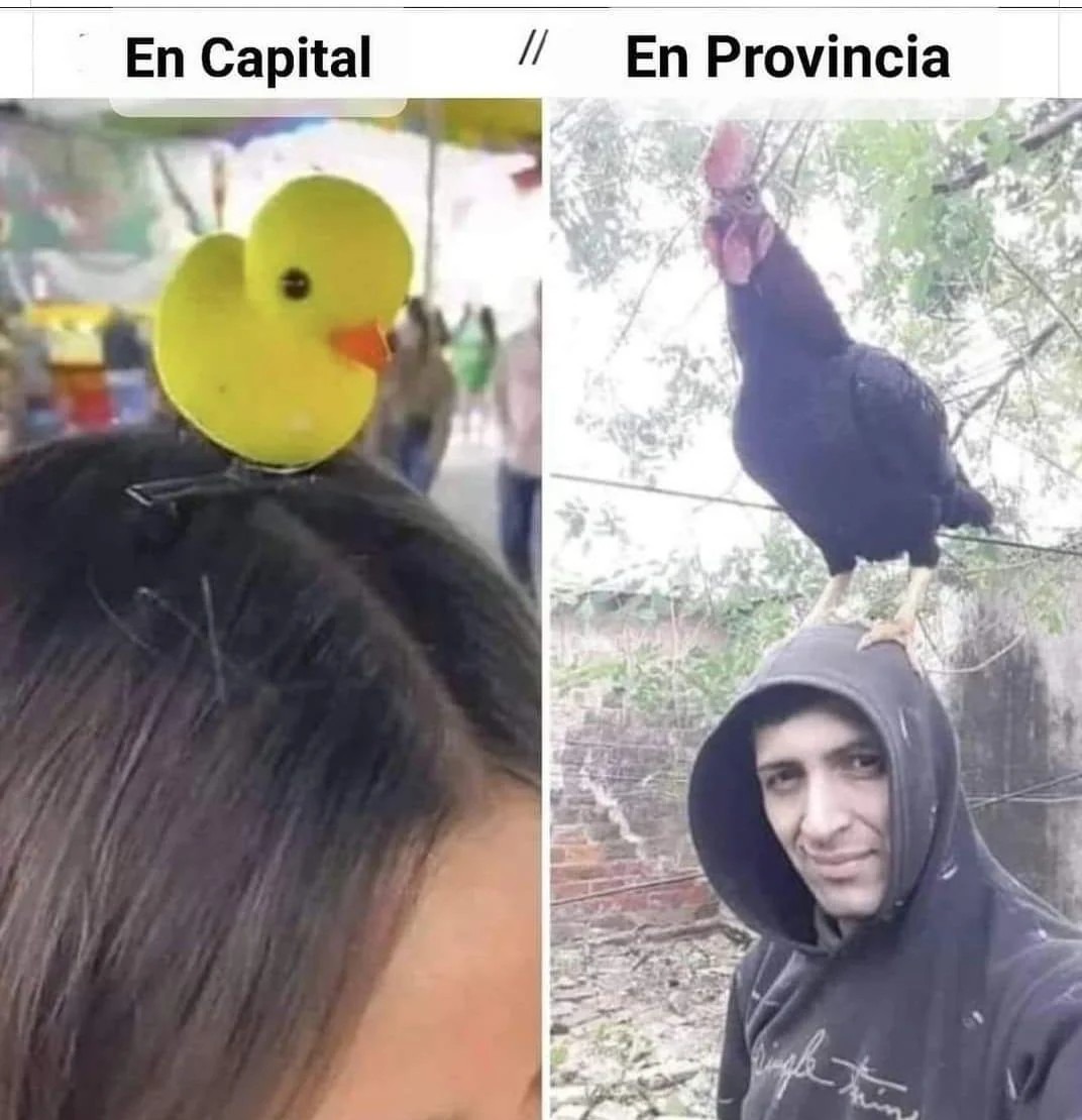 Que significaba llevar patos en la cabeza? - meme