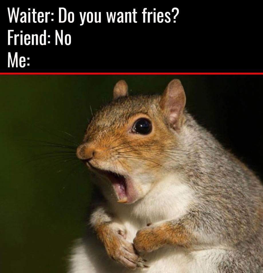 Yes to fries is a default - meme