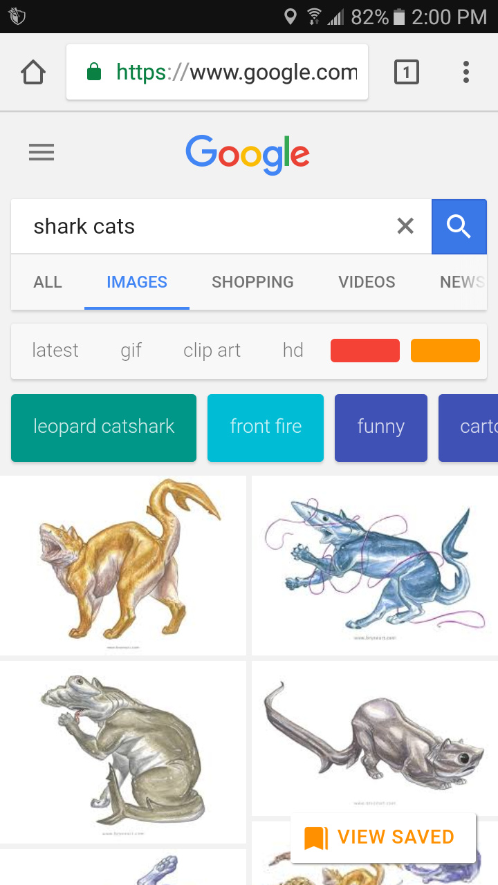 I was looking for catfish - meme