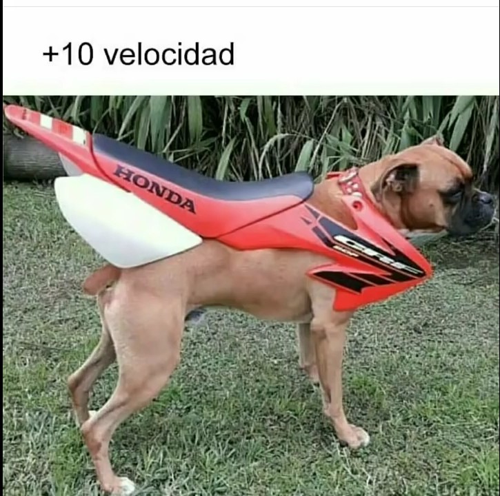 Velocidad a tope - meme