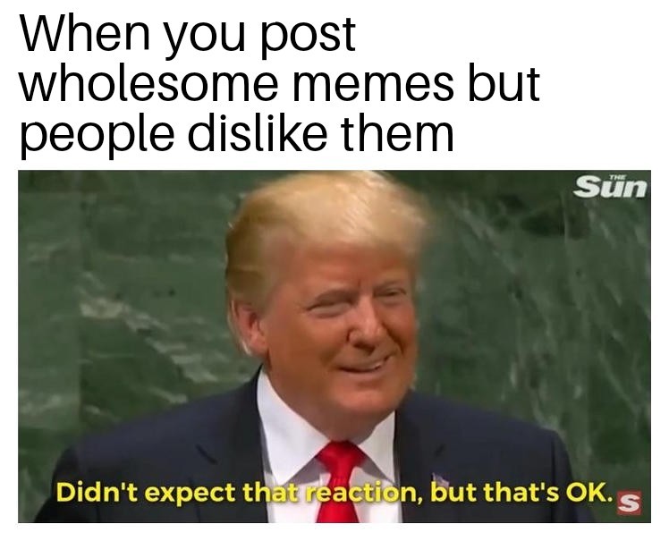 Why are you guys disliking wholesome memes