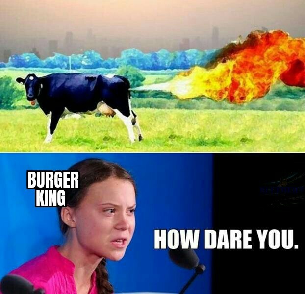 Cow farts bad waaaah - meme