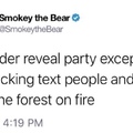 smokey the bear says don’t be a fag and have gender reveal party