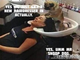Snoop Dog - meme