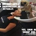 Snoop Dog