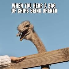 When you hear a bag of chips - meme