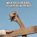 When you hear a bag of chips