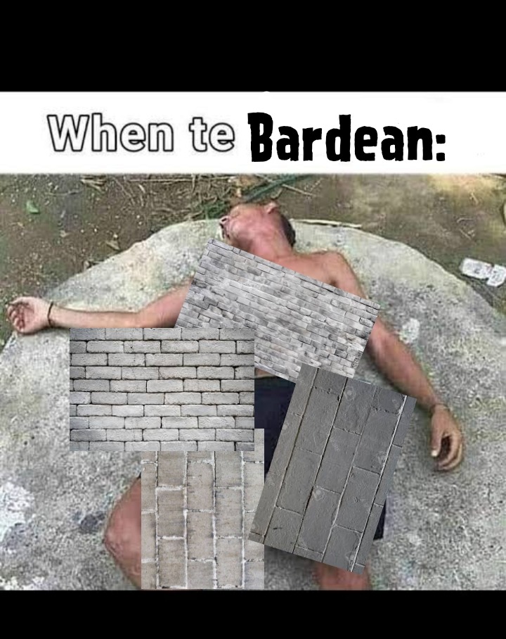 Tenia otra idea algo mas original para ejecutar el chiste pero senti que lo iban a malinterpretar y solo espero que nadie me haya ganado ya esto. PD: Barda es una forma de decir pared, no creo que sea difícil de entender - meme