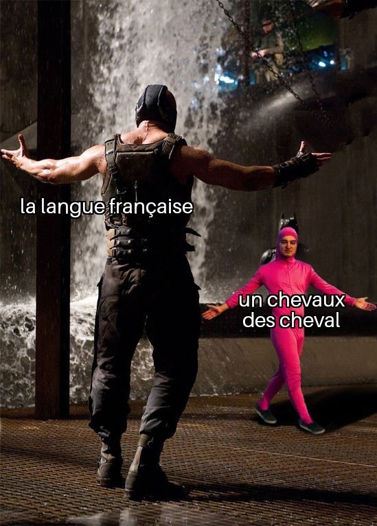 Moi et la langue française...c'est pas trop ça - meme