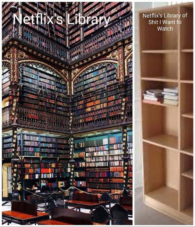 Netflix's library - meme