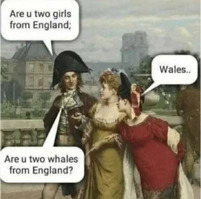 Two whales - meme