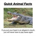 quick animal facts