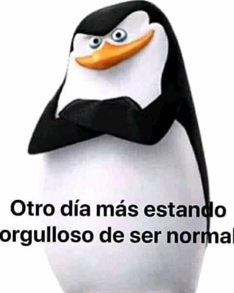 Otro día más estando orgulloso de ser normal - meme