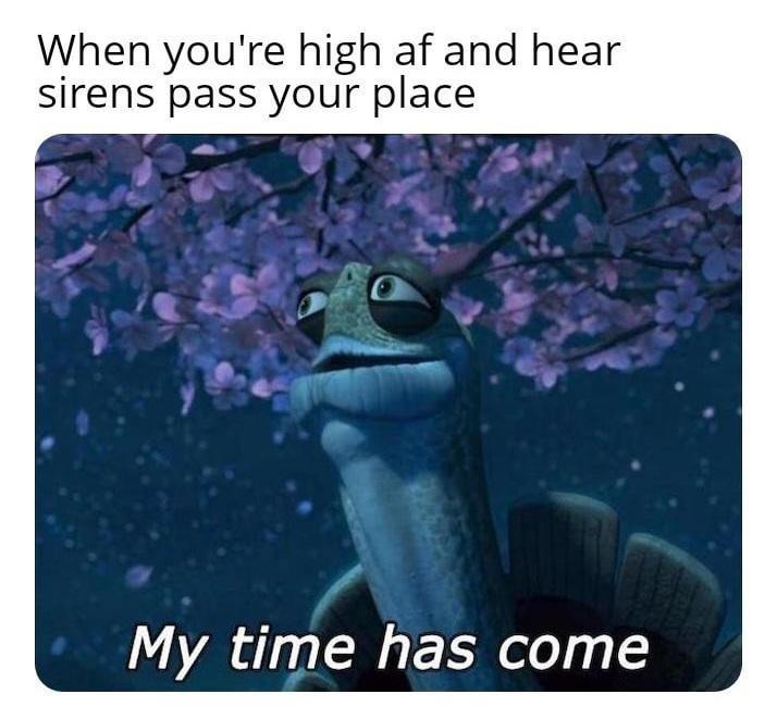 When you're too high and hear sirens outside - meme